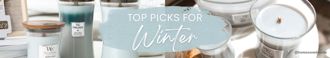 Top Picks for Winter