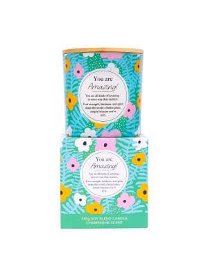 Meaningful Melts Amazing Candle