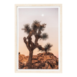 Desert Dunes Framed Glass Print 43x63
