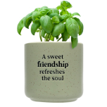 Friendship Positive Pot