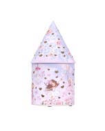 Ballerina Light Up House